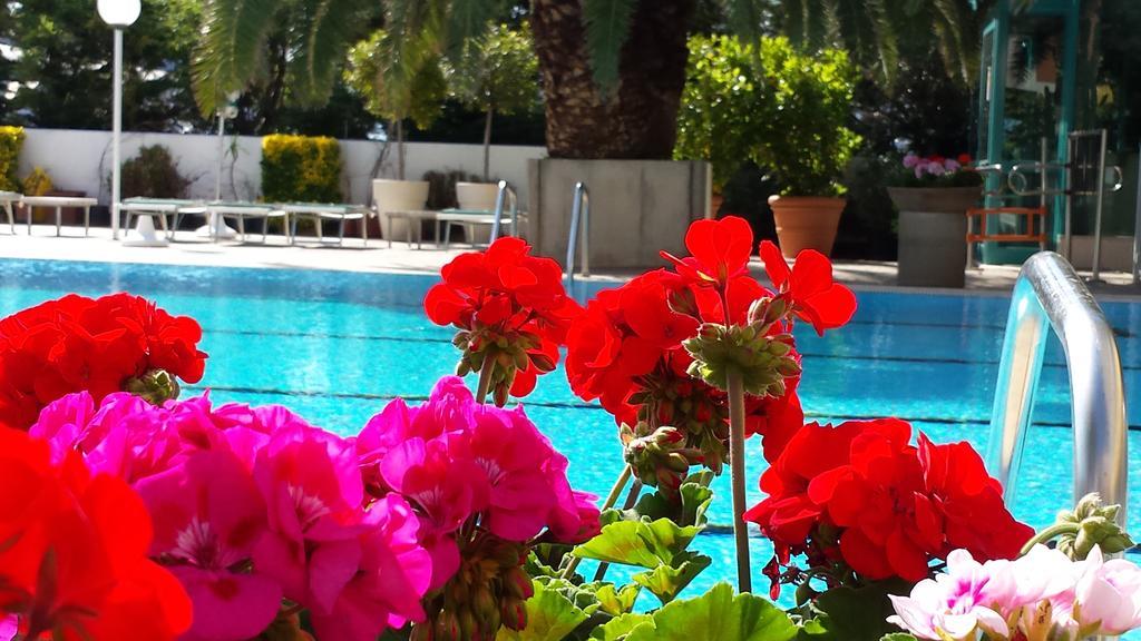 Hotel Cormoran Католика Екстериор снимка